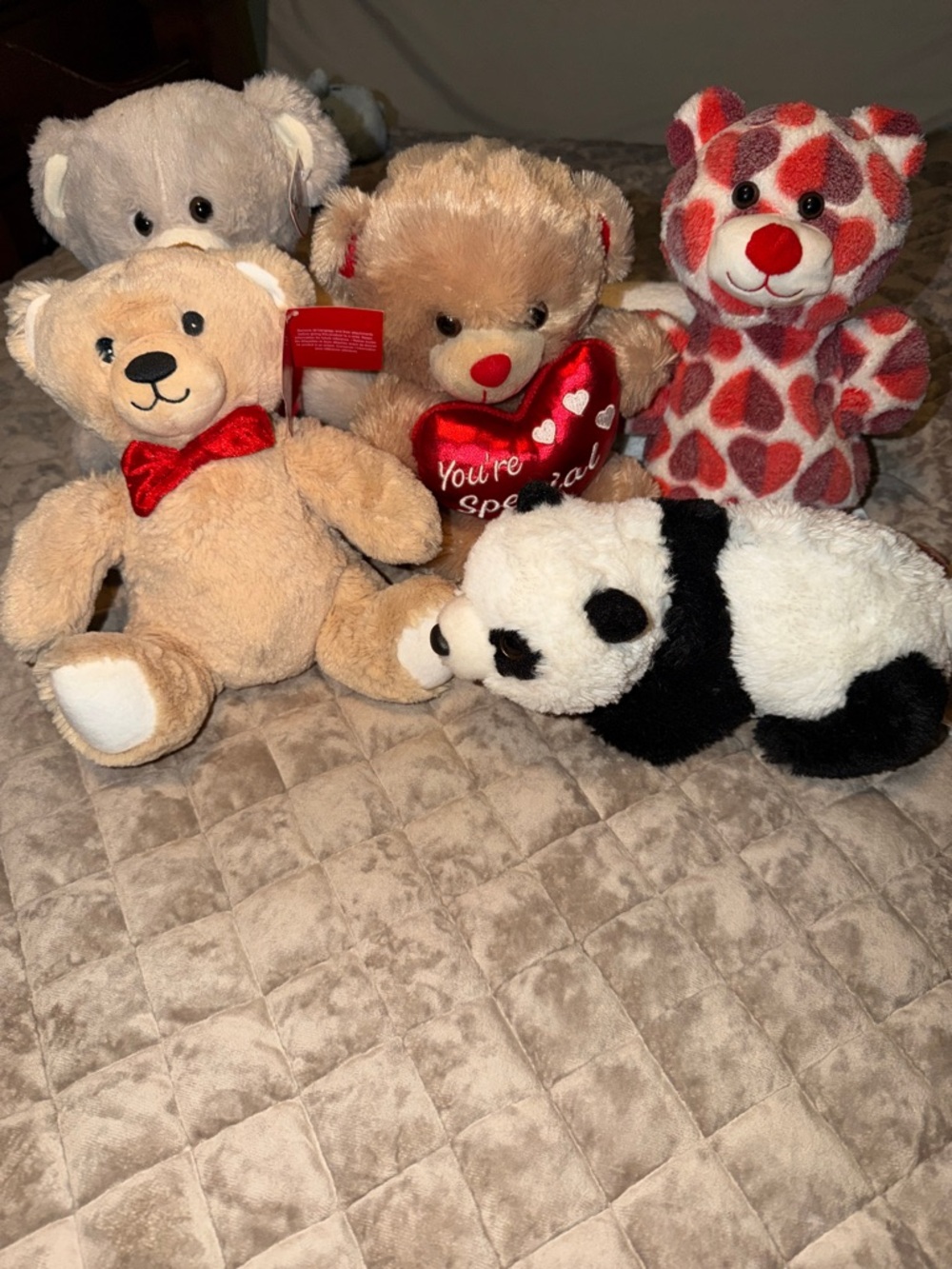 Valentine Plush Bear & Panda Toy Set - Beige, Cream, Black, Red Accents